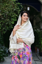 Embrace Classic Elegance with Our Multicolor Paisley Ethnic Shaw